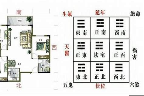 青龙位在哪里|风水宝典：如何确定青龙位？